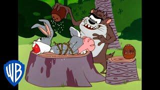 Looney Tunes  Tazs Meal  Classic Cartoon  WB Kids