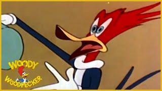 Woody Woodpecker Classic   Whos Cookin Who  Woody Woodpecker Full Episode  Videos for Kids