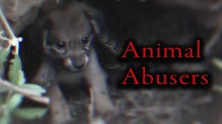 YouTubes Fake Animal Rescue Channels