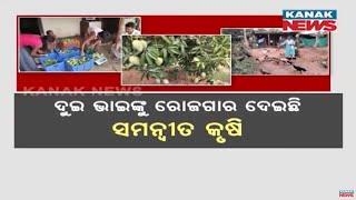 Bazaar Halchaal Two Brothers Integrated Farming Success in Gunupur Yields Profit