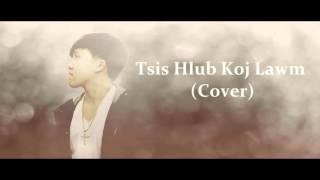 David Yang - Tsis Hlub Koj Lawm Cover