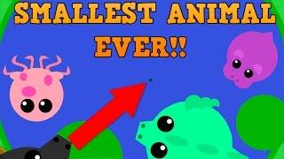 NEW MOPE.IO SMALLEST ANIMAL CHALLENGE  Part 1  Mini Stingray vs Dragons