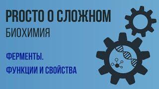 PROСТО О СЛОЖНОМ  Ферменты Биохимия №7