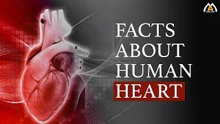 Facts about the Human Heart - 🫀 - Short Documentary 2022 - Abdul Ahad Productions