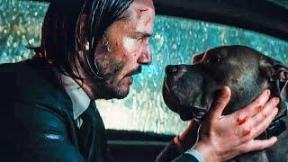 Youre A Good Dog Scene - JOHN WICK 3 2019 Movie Clip