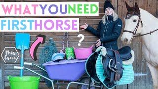 What You Need For Your First Horse AD  This Esme
