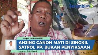 Anjing Bernama Canon Mati di Aceh Singkil Satpol PP Bantah Lakukan Penyiksaan