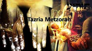 #27a Tazria & #28a Metzorah - Dvar Torah with Deeper Insights into that which comes forth from us