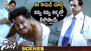 Venu Madhav Best Comedy Scene  Yogi Telugu Movie Scenes  Prabhas  Nayanthara  Shemaroo Telugu