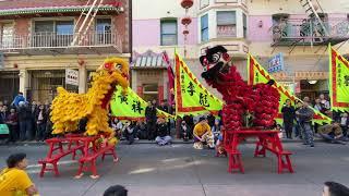 2019 World Dragon and Lion Dance Day Yau Kung Moon Double Lion Bench routine