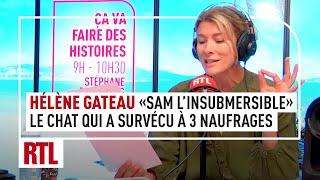 Hélène Gateau  Sam linsubmersible le chat qui a survécu à 3 naufrages