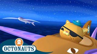 Octonauts - Chasing the Flying Fish  Full Episode 22  Cartoons for Kids  Underwater Sea Education