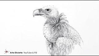 CÓMO DIBUJAR UN BUITRE CON PLUMA ESTILOGRÁFICA - Timelapse