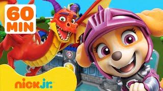 PAW Patrol Dragon Adventures & Rescues  1 Hour  Nick Jr.