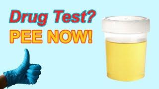 Sound To Pee For Drug Test  GUARANTEED