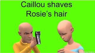 Caillou shaves Rosie’s hairgrounded