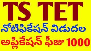 TS TET నోటిఫికేషన్ విడుదల అప్లికేషన్ ఫీజు ₹1000  TS TET NOTIFICATION RELEASED 2024 #tstet2024