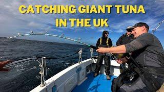 Bluefin Tuna Fishing In The UK