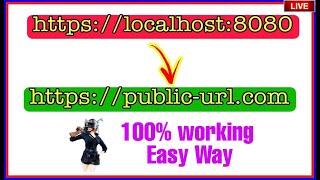 How to localhost project to make public URL  100% working method