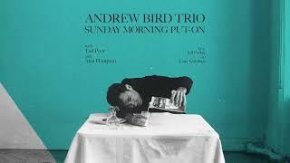 Andrew Bird - I Didnt Know What Time It Was Official Audio