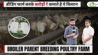 ब्रायलर ब्रीडिंग पोल्ट्री फार्म से कमाए करोड़ों  how to start broiler parent breeding poultry farm