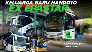 HANDOYO BELI BUS EX EPA STAR LANGSUNG DI GANTI LIVERY