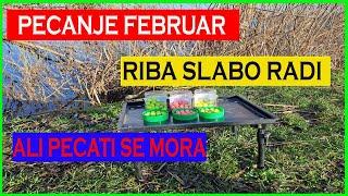 Pecanje Februarriba slabo radiali pecati se MORA 