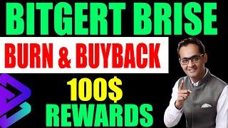 Bitgert Brise burn and buyback mechanism is trying hard to proof their potential in terms of price