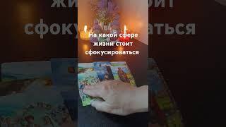 ⁉️на какой сфере жизни стоит сфокусироваться #таро #знаксудьбы #гадание #tarot