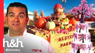 Outono e primavera bolos favoritos de Buddy para cada estação  Cake Boss  Discovery H&H Brasil