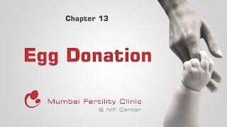 Egg Donation