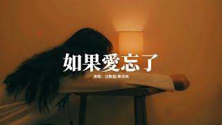 汪蘇瀧單依純 - 如果愛忘了『如果愛忘了 淚不想落下，那些幸福啊 讓她替我到達。』【動態歌詞MV】