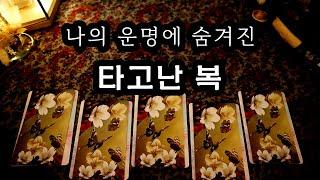 타로 나의 운명에 숨겨진 타고난 복