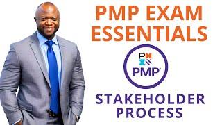 PMP Stakeholder Management A Deep Lesson in PMI Process Ideas