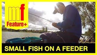 Small fish on a feeder – Darren Cox at Furzton Lake