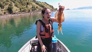 Best squid fishing video on YouTube