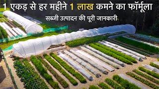 VEGETABLE FARMING HANDBOOK  how to do Organic farming  Vegetable Business