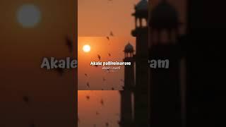 Akale palliminaram  slowed + reverb  full song comment box pin #shorts #trending #viral #video