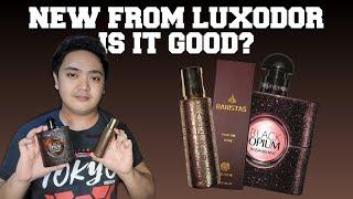 Baristas - Luxodor 2021 Review