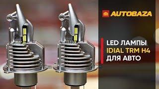 LED лампы которые не слепят iDial TRM H4. Светодиодные лампы для рефлекторных фар