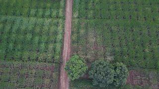 Aerial Videography of Fields - Sky DroneVideography