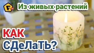 КАК СДЕЛАТЬ СВЕЧУ С ГЕРБАРИЕМ в домашних условиях  Декоративные свечи своими руками дома