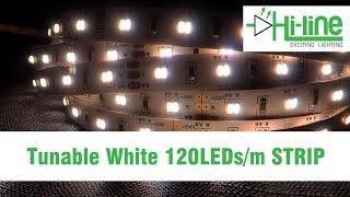 Tunable White 120 Leds Strip