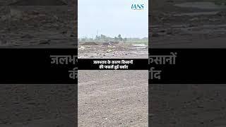 गुजरात में भारी बारिश की वजह से फसलें हुई तबाह किसानों को हुआ भारी नुकसान