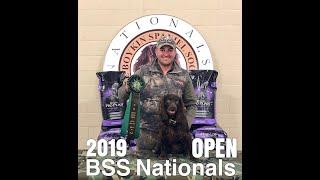 chiefholland 2019 Boykin Spaniel Society National Field Trial - OPEN