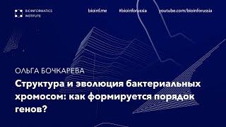 Структура и эволюция бактериальных хромосом как формируется порядок генов?  Ольга Бочкарева.