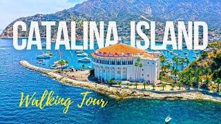 ‍️Discovering CATALINA ISLNAD ️ A scenic walking tour of Avalon California