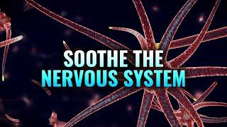 Soothe the Nervous System - Heal Your Vagus Nerve Nerve Healing Binaural Beats - Nerve Regeneration