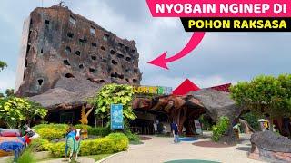 DALEMNYA TERNYATA AJIB.. Wajib Cobain Pohon Inn Hotel Batu  Hotel bagus di Malang