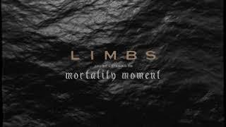LIMBS - Mortality Moment